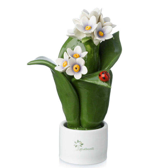 PIANTA NATURA 2 FIORI