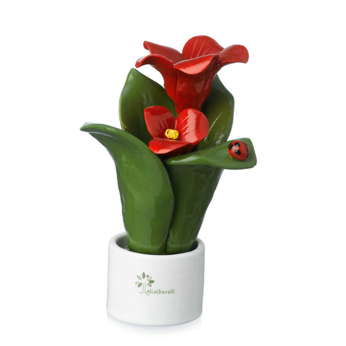 PIANTA NATURA 2 FIORI