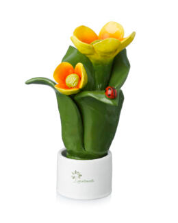 PIANTA NATURA 2 FIORI