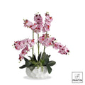 Fantin Argenti ORCHIDEA ROSA 9 RAMI REAL TOUCH CON VASO CERAMICA CM. H70