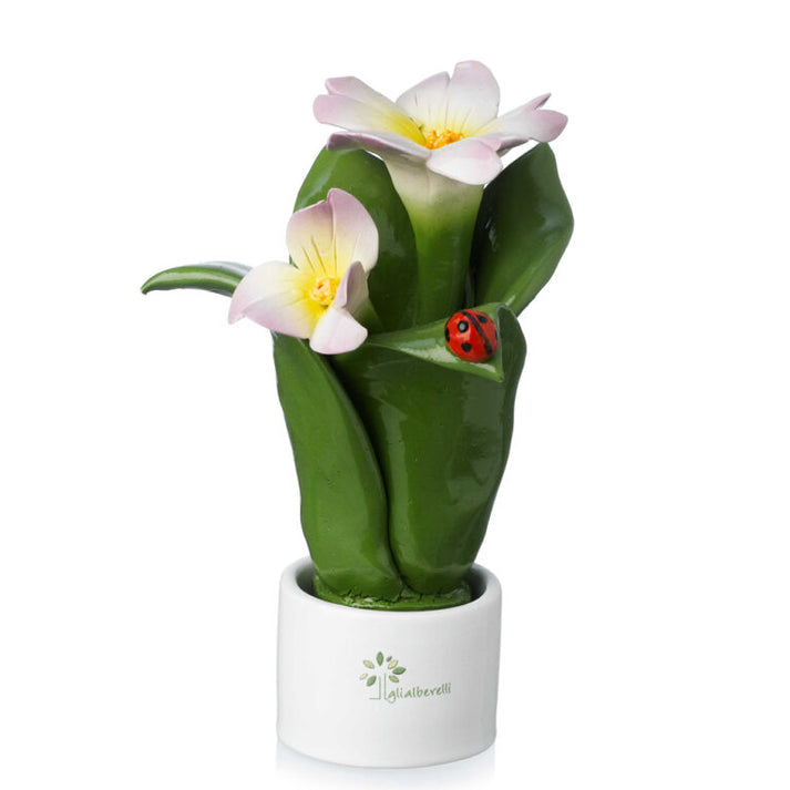 PIANTA NATURA 2 FIORI