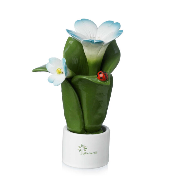 PIANTA NATURA 2 FIORI