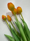 Fantin Argenti Composizione tulipani Arancio cm. 31