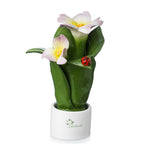 Pianta Natura 2 Fiori Gli Alberelli h. 16 cm.