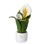 Pianta Natura 2 Fiori Gli Alberelli h. 16 cm.