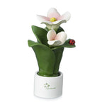 Pianta Natura 2 Fiori Gli Alberelli h. 16 cm.