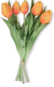 Fantin Argenti Composizione tulipani Arancio cm. 31