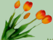 Fantin Argenti Composizione tulipani Arancio cm. 39