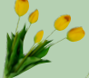 Fantin Argenti Composizione tulipani Giallo cm. 39