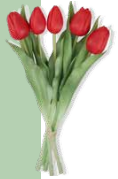 Fantin Argenti Composizione tulipani Rosso cm. 39