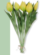Fantin Argenti Composizione tulipani Giallo cm. 31