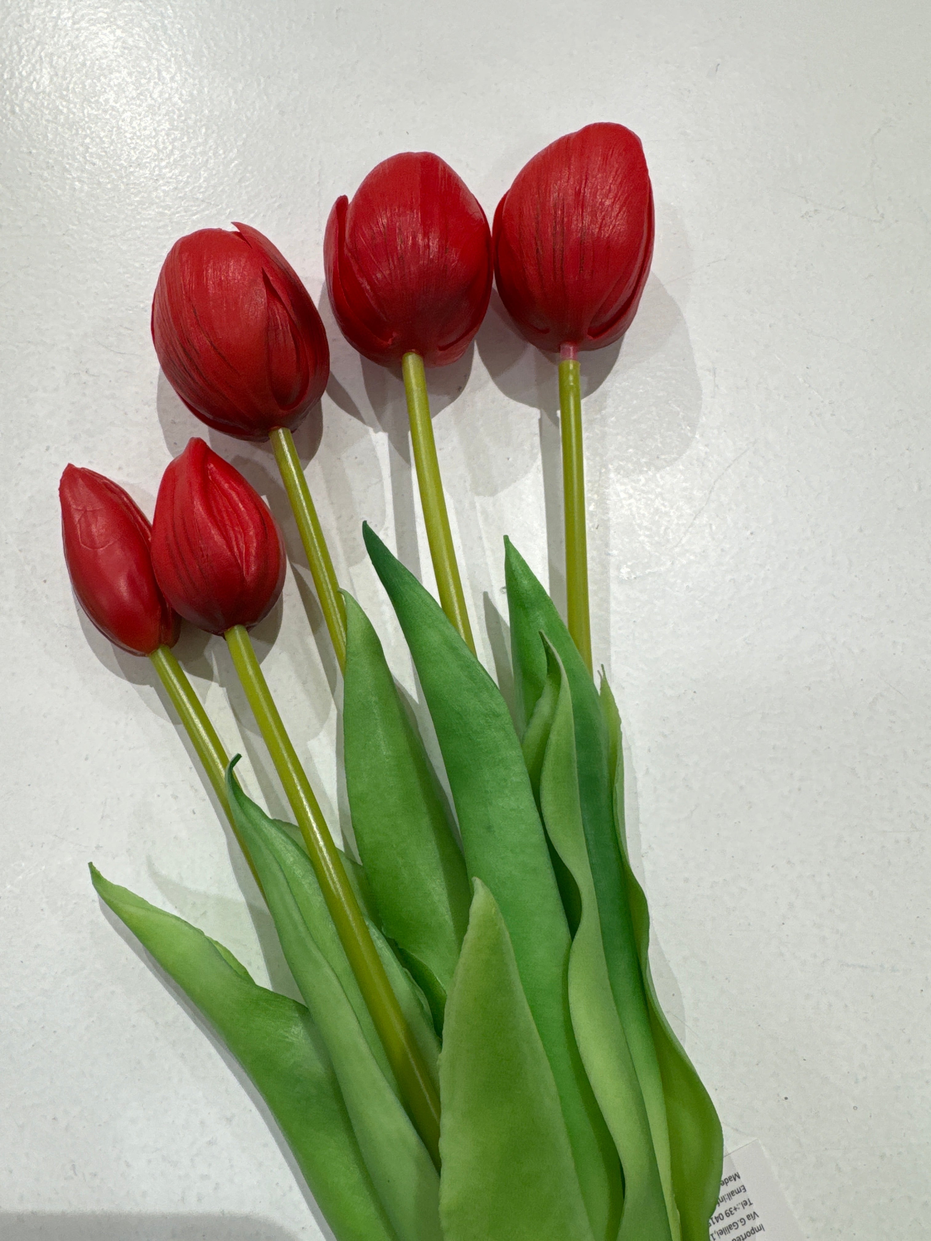 Fantin Argenti Composizione tulipani Rosso cm. 39