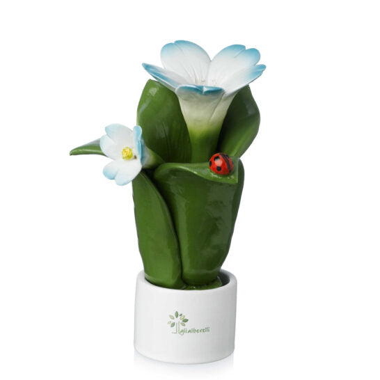 Pianta Natura 2 Fiori Gli Alberelli h. 16 cm.