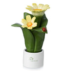 Pianta Natura 2 Fiori Gli Alberelli h. 16 cm.