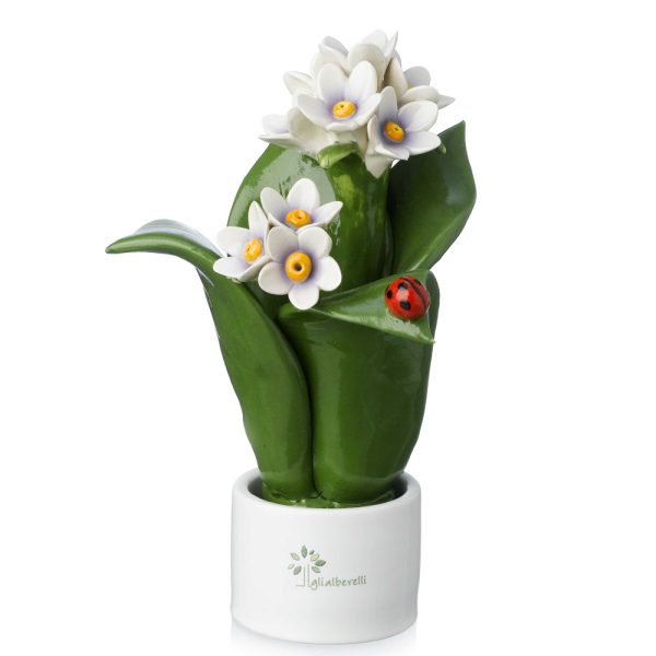 Pianta Natura 2 Fiori Gli Alberelli h. 16 cm.