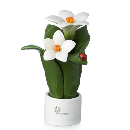 Pianta Natura 2 Fiori Gli Alberelli h. 16 cm.