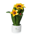Pianta Natura 2 Fiori Gli Alberelli h. 16 cm.