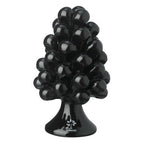 PIGNE – Pigna Media gli Alberelli