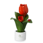 Pianta Natura 2 Fiori Gli Alberelli h. 16 cm.