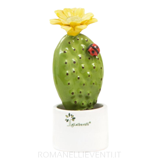 Pianta grassa colorata mignon: Fico d'India