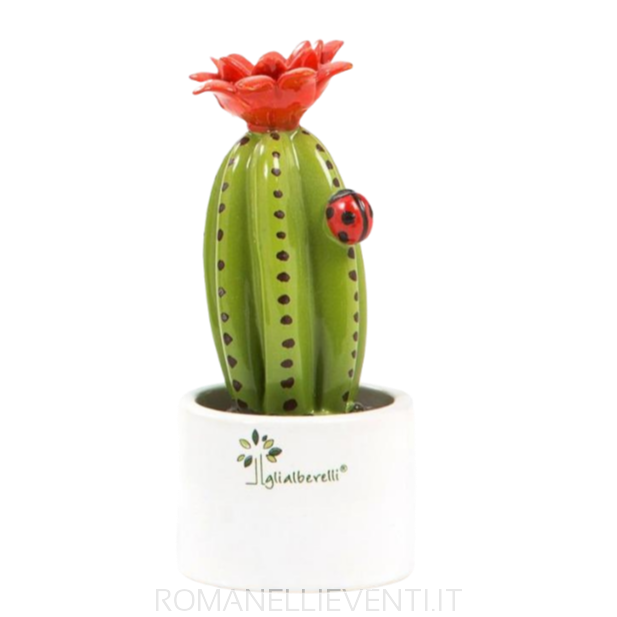 Pianta grassa colorata mignon: Stetsonia