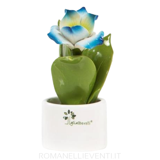 Pianta natura mignon Elleboro